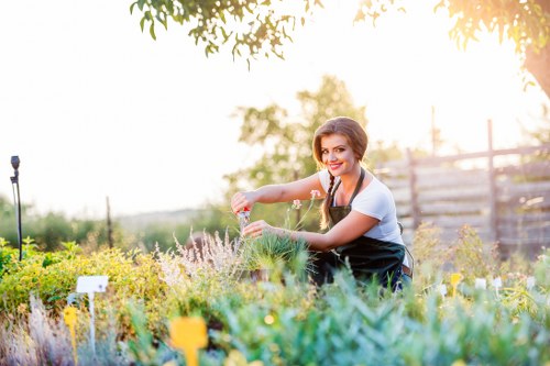 Accessibility statement introduction for Gardeners Beddington
