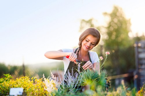 Structured response to a gardener service complaint