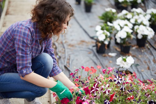 Seasonal garden maintenance and hedge trimming in Beddington