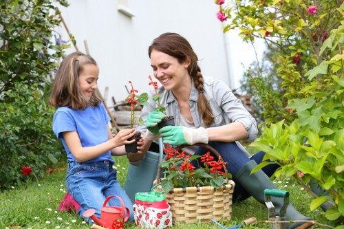 Aeration and soil care for a lawn in Beddington