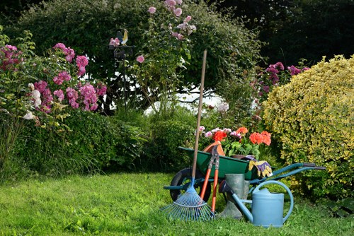 Freshly trimmed grass showing even mowing lines in a Beddington garden