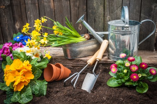 Garden waste and debris removal in Beddington