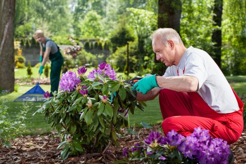 Seasonal lawn mowing service for a tidy Beddington property