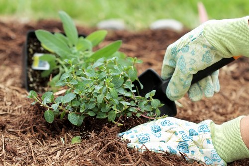 Ongoing accessibility improvements for Beddington gardeners