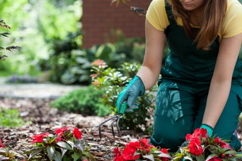 Gardeners Beddington improving a well-kept local garden