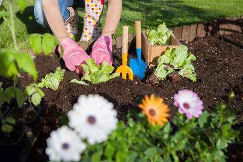 Professional garden care and planting in Beddington