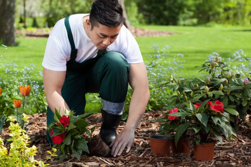 Outdoor garden upkeep in Beddington with neat planting and paths