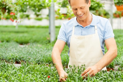 Lawn care and planting support from gardeners in Beddington
