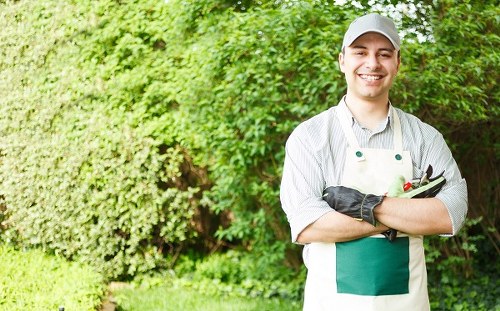 Seasonal garden maintenance by Beddington gardeners