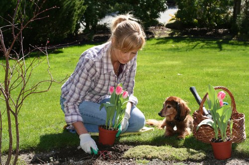 Professional garden clearance work in a Beddington garden