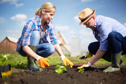 Waste disposal and liability terms for garden maintenance services