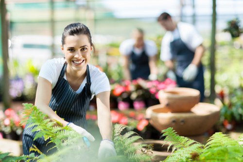 Beddington garden care with neat lawns and shrubs