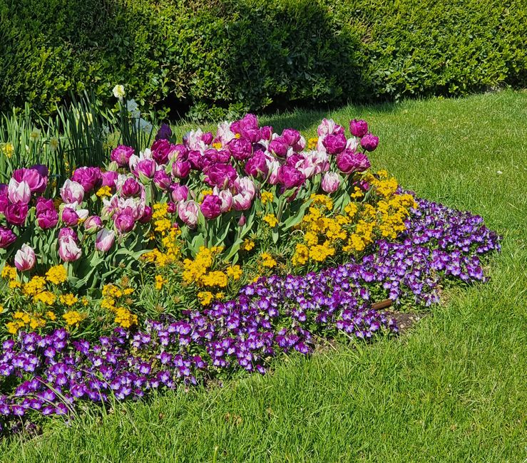 A well-maintained garden features a lush, evenly cut green lawn in the foreground, bordered by a paved pathway. Behind the lawn, there are vibrant flower beds and shrub borders with a variety of color
