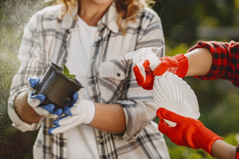 A person wearing a plaid shirt and white gloves holds a small black plastic pot containing a young plant with green foliage, ready for planting or transplanting in a garden. Another individual, wearin